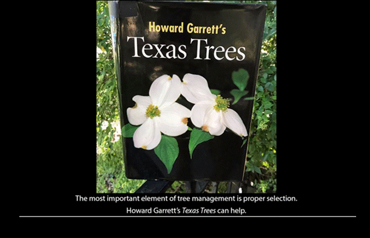 Stop Using Destructive Products - Synthetic Fertilizers or Toxic Pesticides - Start building soil life - compost, rock minerals, microbe stimulators - use soft pest control - trich wasps and nematodes, repellants, and least toxic killing products - see results