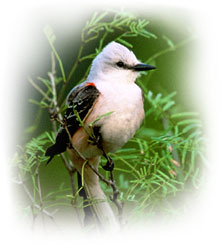 content_img.1232.img.jpg