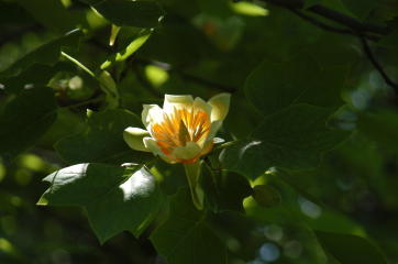 content_img.3678.img.jpg