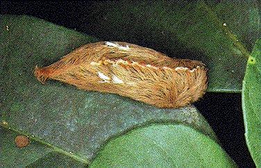 content_img.5438.img.jpg