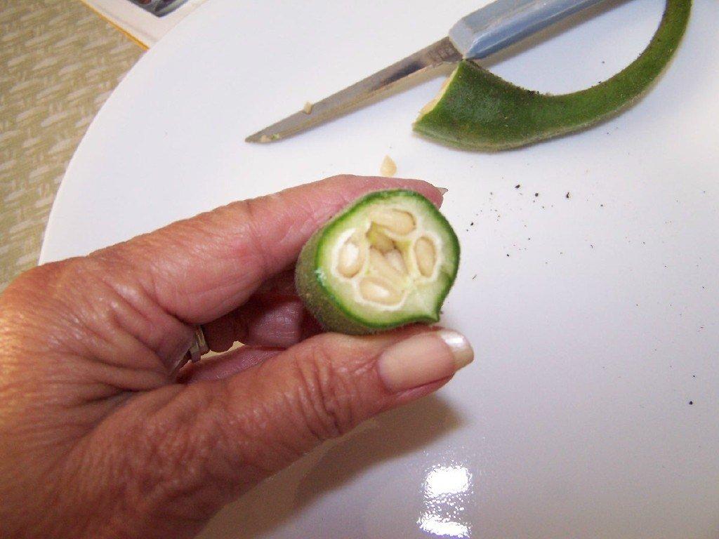 content_img.6538.img.jpg