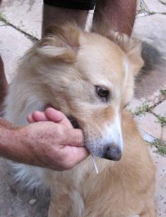 content_img.7304.img.jpg