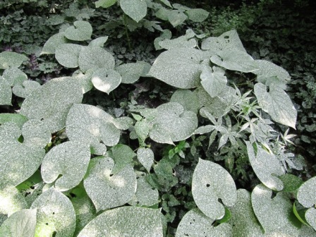 content_img.7925.img.jpg