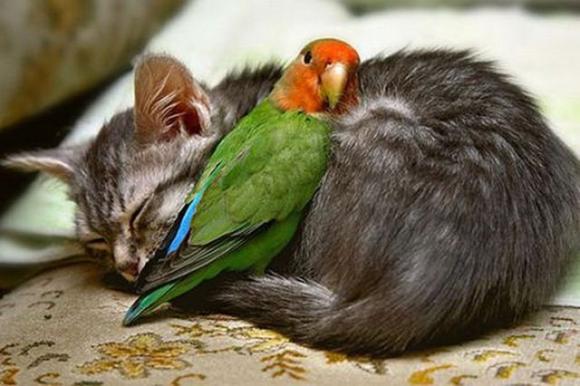 content_img.8099.img.jpg
