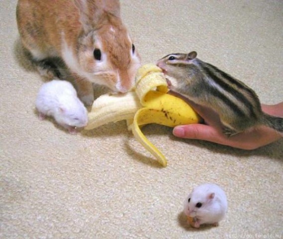 content_img.8105.img.jpg