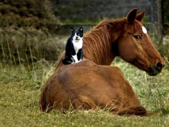 content_img.8107.img.jpg