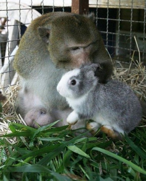 content_img.8110.img.jpg