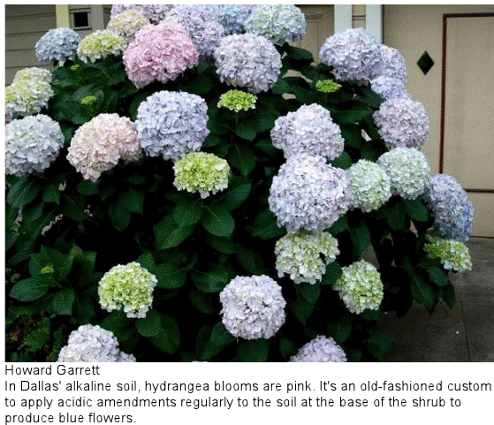 content_img.8730.img.png
