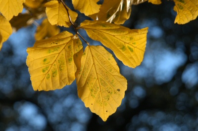 content_img.990.img.jpg